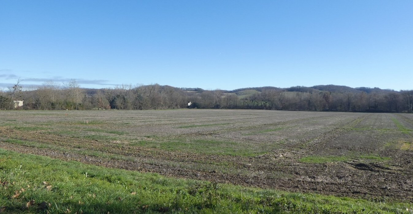 Emplacement du futur centre de tri, entre le Gers et la D.929