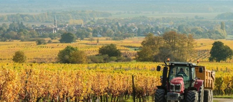 Le Sénateur Duffourg intervient en faveur des retraites des non-salariés agricoles