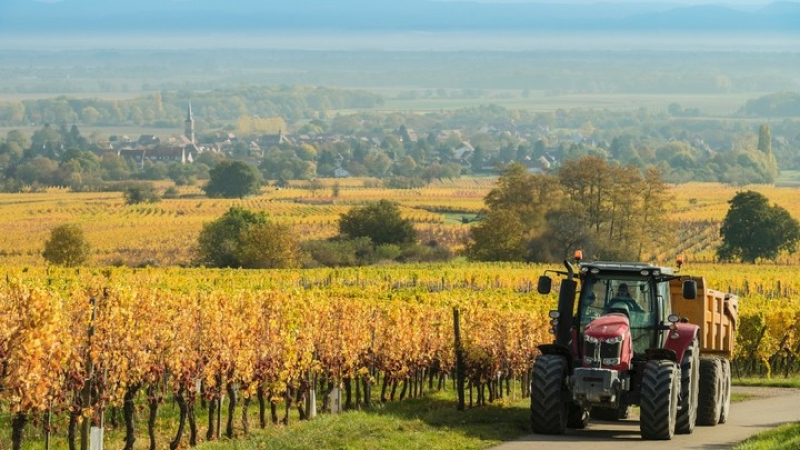 Le Sénateur Duffourg intervient en faveur des retraites des non-salariés agricoles