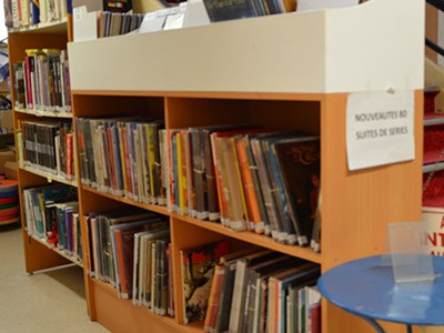 biblio BD.JPG