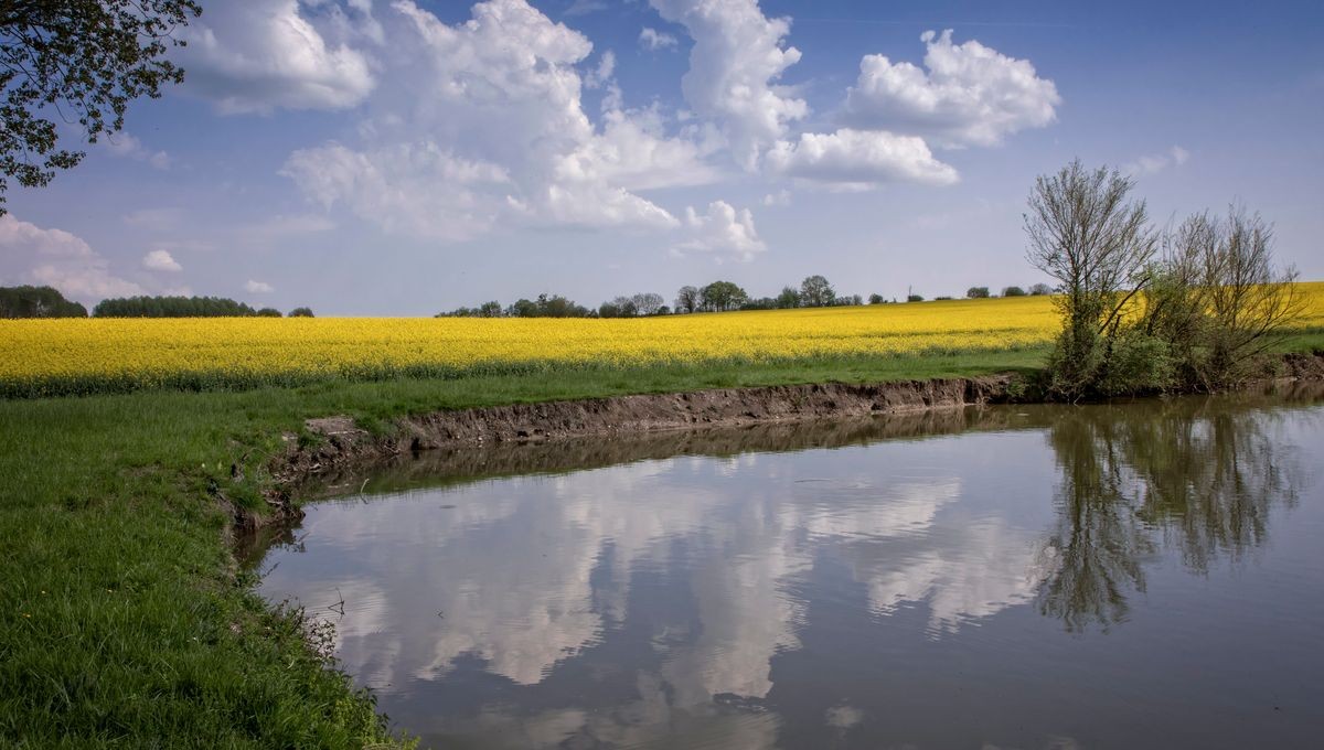 1200x680_maxwatier510111_1.jpg