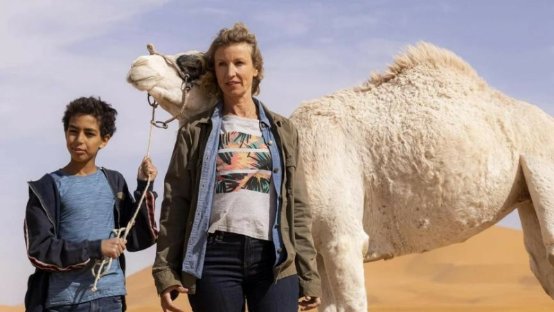 Aventure au cinéma samedi soir
