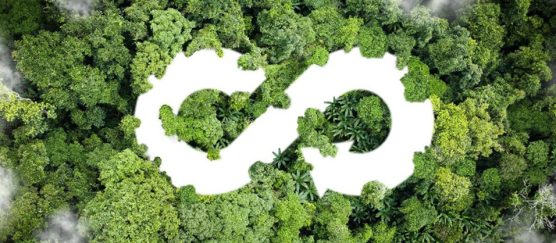 La Matinale  « Circuit court et économie circulaire une façon de vivre ! »
