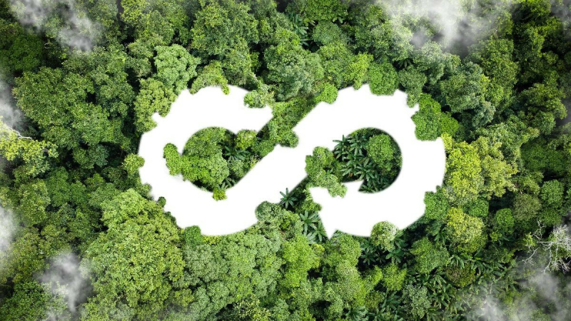 La Matinale  « Circuit court et économie circulaire une façon de vivre ! »