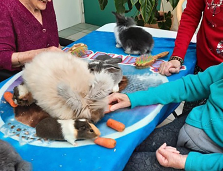 animaux ehpad mirande.jpg