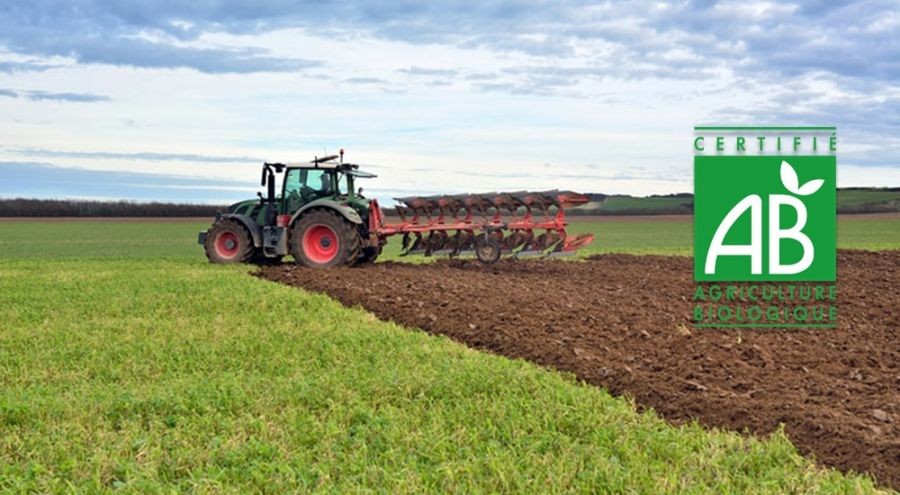 34798-leurope_envisage_dinstaurer_des_seuils_de_pesticides_dans_lagriculture_bio.jpg