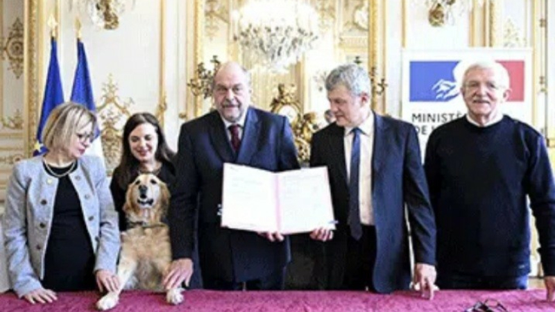 La SPA signe un partenariat avec le ministère de la Justice, France Victimes et Handi’chiens