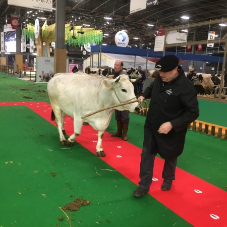 Arrivée au Salon sur le tapis rouge !