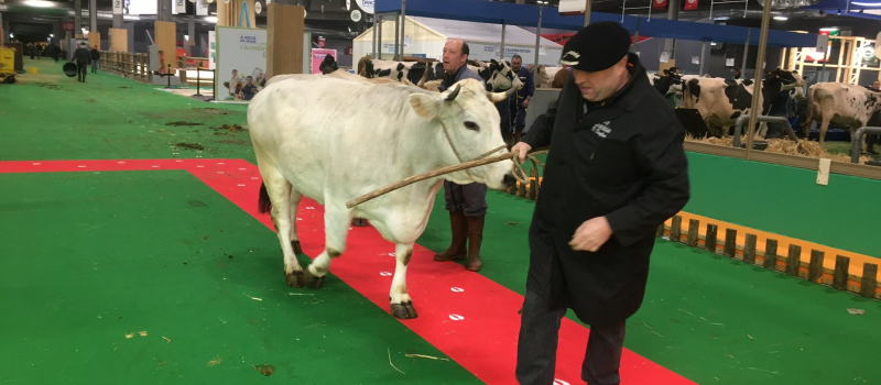 Mimosa n'a pas raté son entrée au 59 ème Salon de l 'A griculture