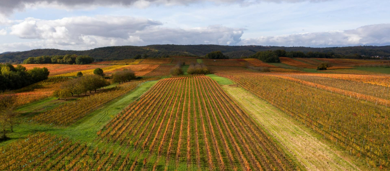 Au Salon de l’Agriculture de Paris, la destination Occitanie Sud de France joue la carte du tourisme de terroir