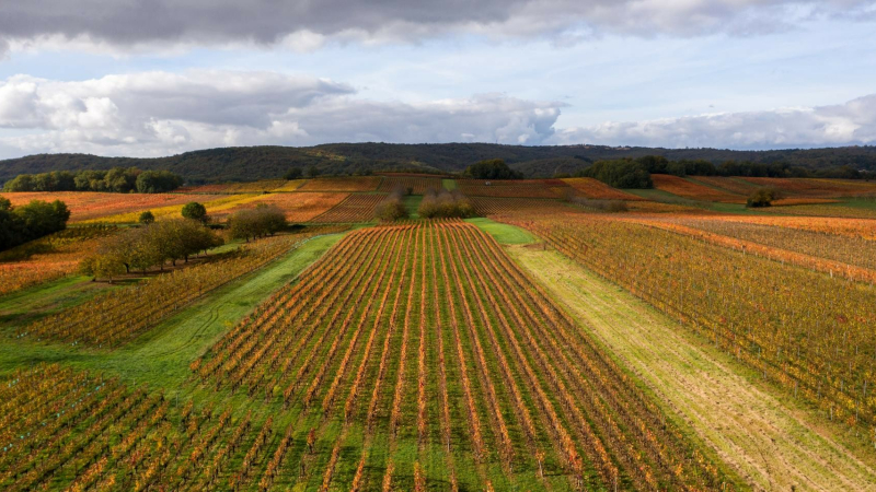 Au Salon de l’Agriculture de Paris, la destination Occitanie Sud de France joue la carte du tourisme de terroir