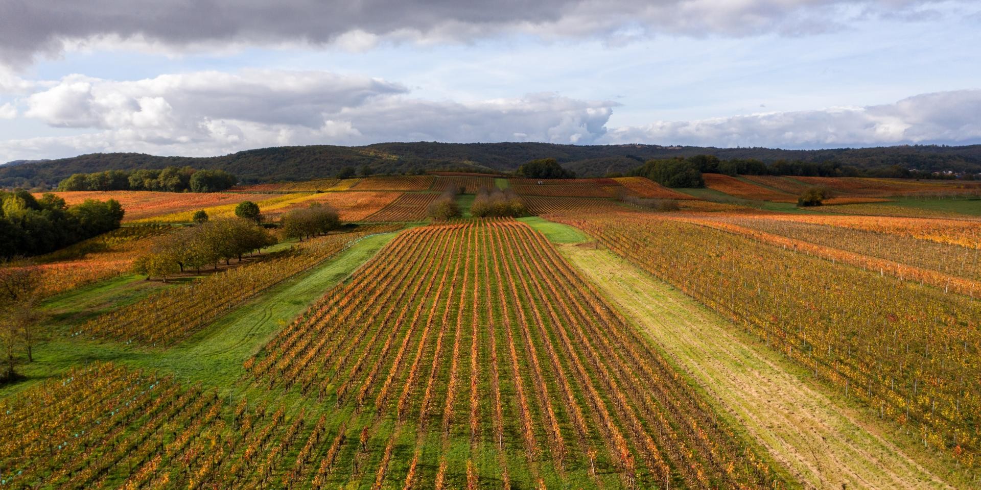 web21-201029144422-vignoble-de-cahors-en-automne-a-mercues-c-novello-lot-tourisme-1920x960.jpg
