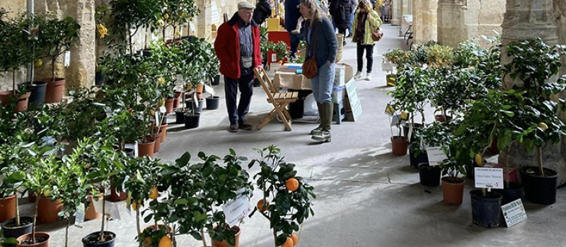 Un avant goût du printemps avec la foire de la pépinière