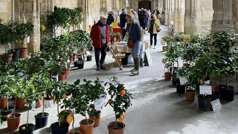 Un avant goût du printemps avec la foire de la pépinière