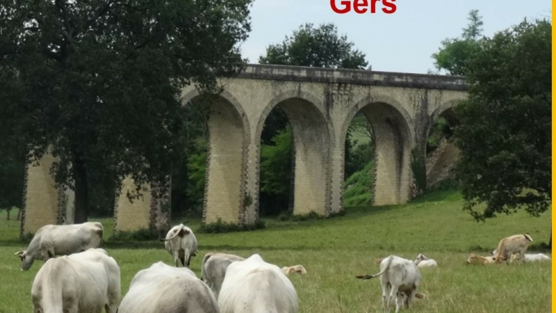 Prima deus Contaires