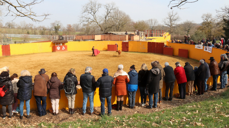 Belle réussite de la journée de l'Amicale des Clubs Taurins du Gers
