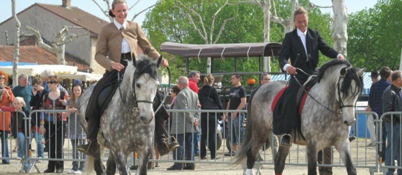 C'est le retour de la foire aux chevaux !