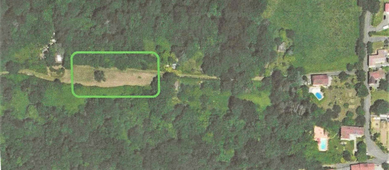 Journée internationale des forêts