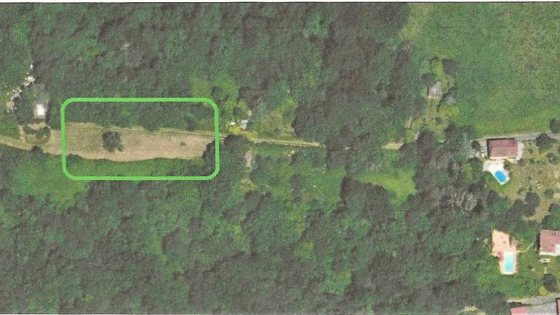 Journée internationale des forêts