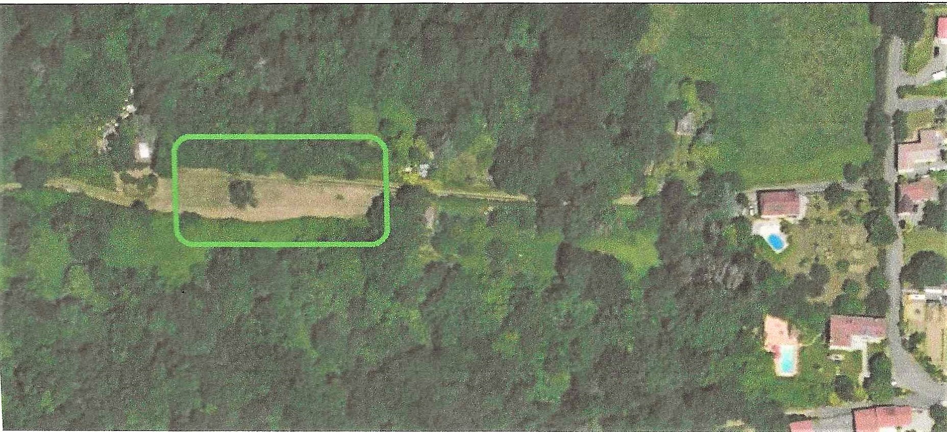 Photo plantation.jpg