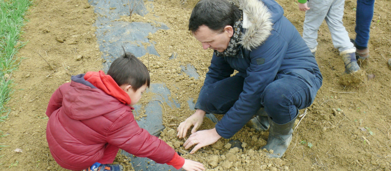 Plantation d'une haie par des enfants de l'école Saint-Paul