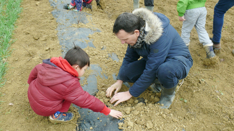 Plantation d'une haie par des enfants de l'école Saint-Paul