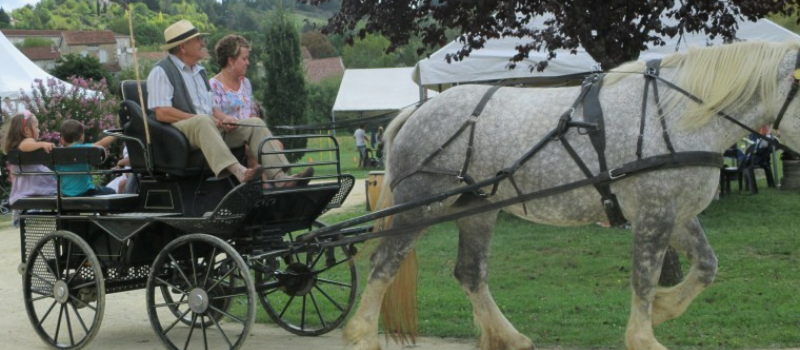 Francis Antoniolli relance la foire aux chevaux