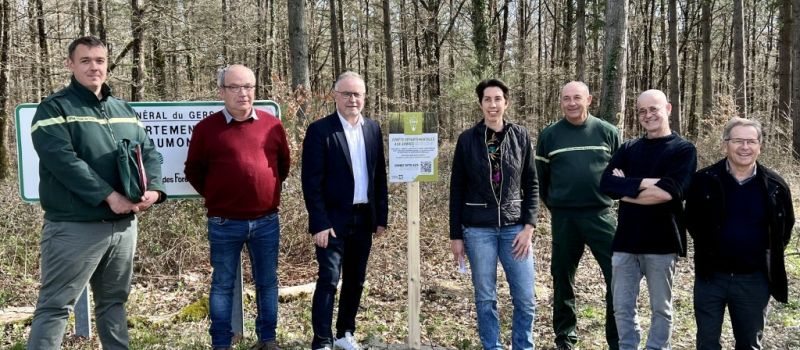 Concertation Citoyenne : forêts départementales gersoises, aux arbres citoyens!