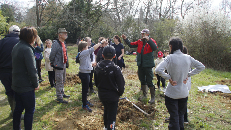 journée internationale des forêts