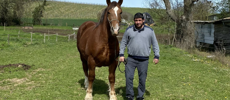 Eric Ceretto : la passion du cheval de trait