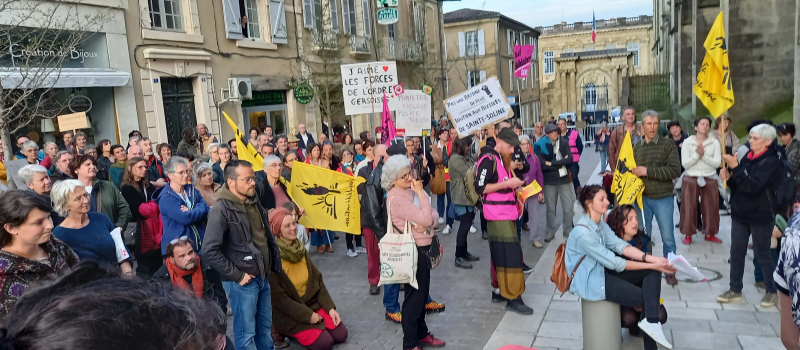 Une manifestation pacifique pour dénoncer les violences policières de Sainte Soline