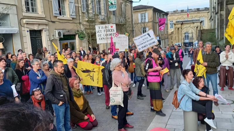 Une manifestation pacifique pour dénoncer les violences policières de Sainte Soline