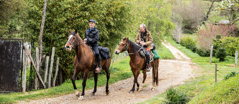 Rik Delameillieure, pèlerin à cheval pour Saint-Jacques depuis Sabazan