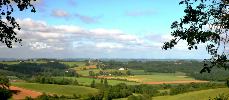 Dotation globale de fonctionnement des collectivités territoriales pour l'année 2023