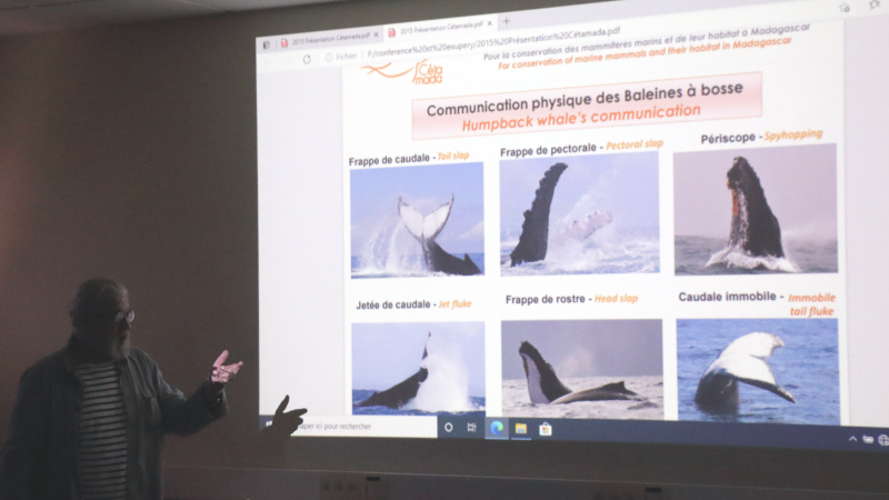 Sauvez Willy... et tous les autres aussi.