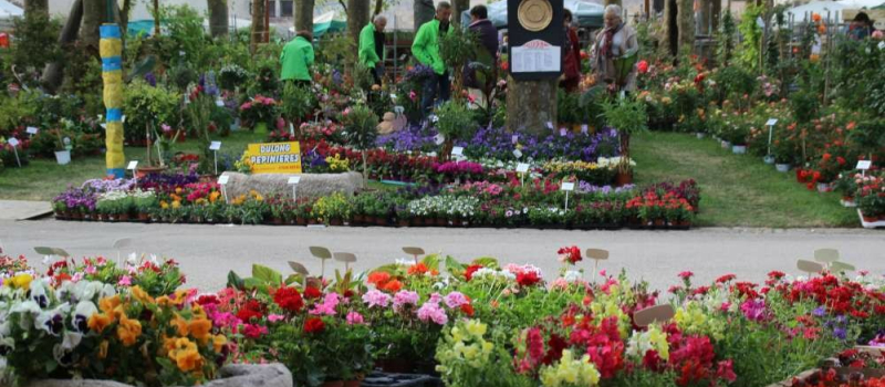 Le marché aux fleurs de Fourcès.