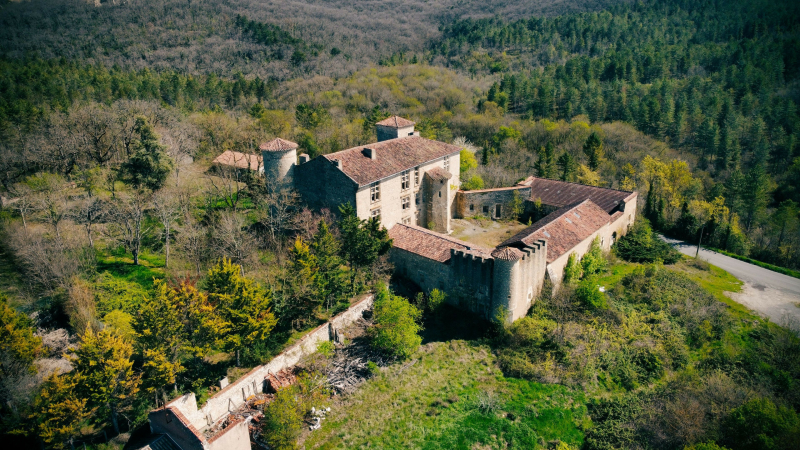 Le château de Saint Cricq est à vendre !