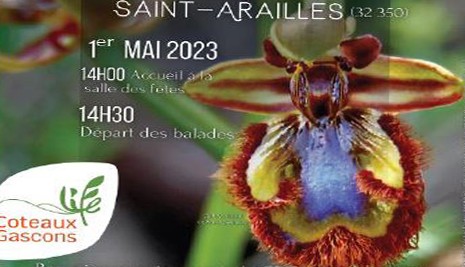 orchidees affichebb.jpg
