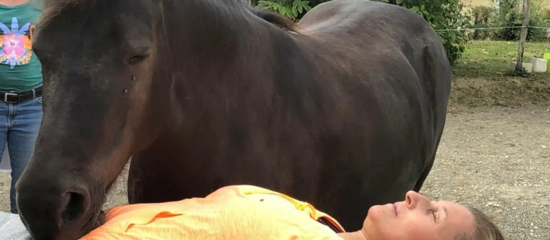 Puissance des chakras, douceur du cheval. Quand  calme  et sérénité s'apprennent