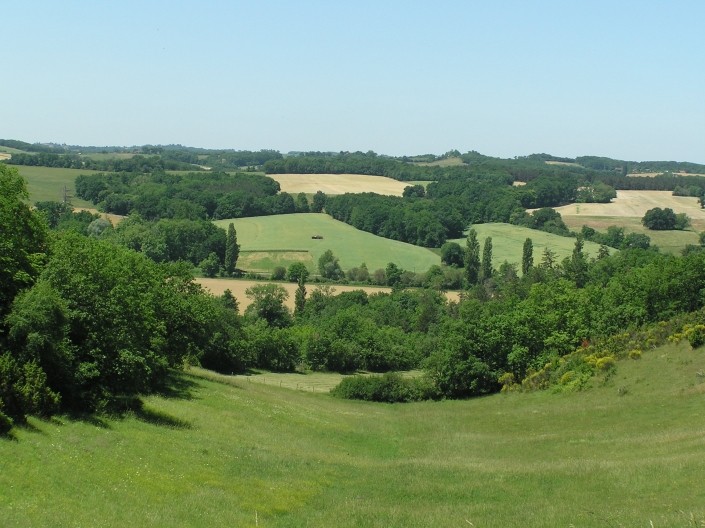 PR-montesquiou-27-05-06-67-705x528.jpg