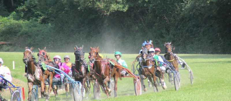 7 courses de chevaux et 1 repas