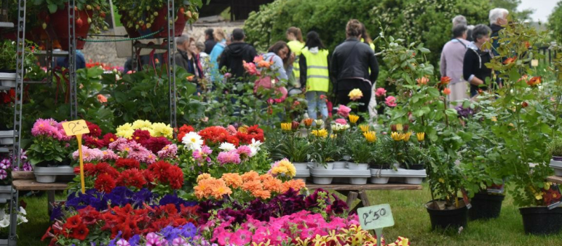 Profiter de dimanche pour visiter le Marché aux fleurs