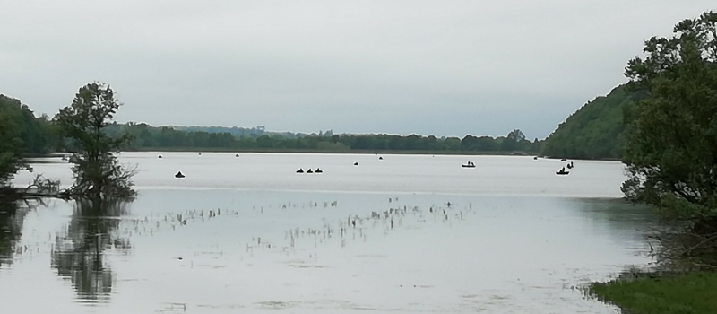 Petits bateaux qui vont sur l’eau