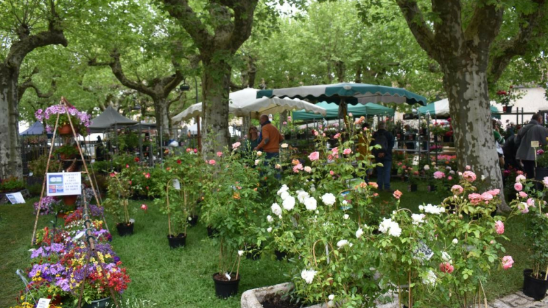 Le parterre magique de Fourcès