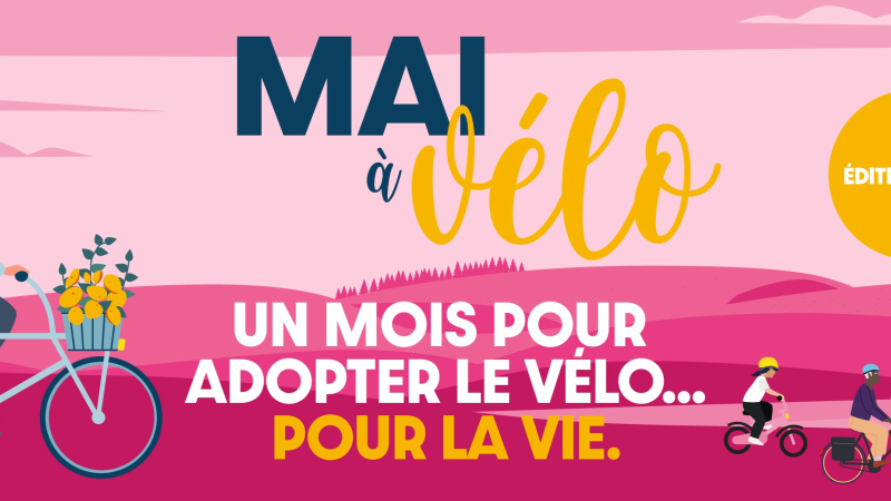 Dans la roue de l'USP