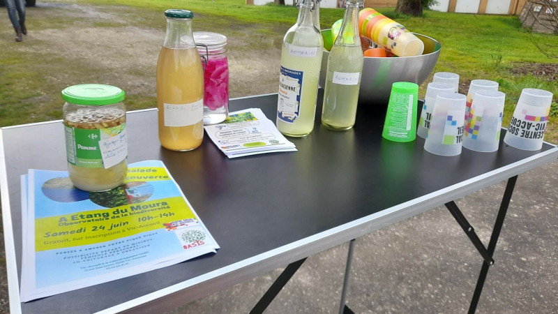 Plantations et eaux florales avec le collectif OASIS !
