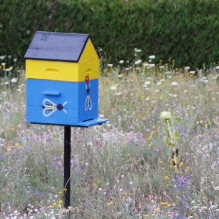 Biodiversite La Tourette 23072022 (13).JPG