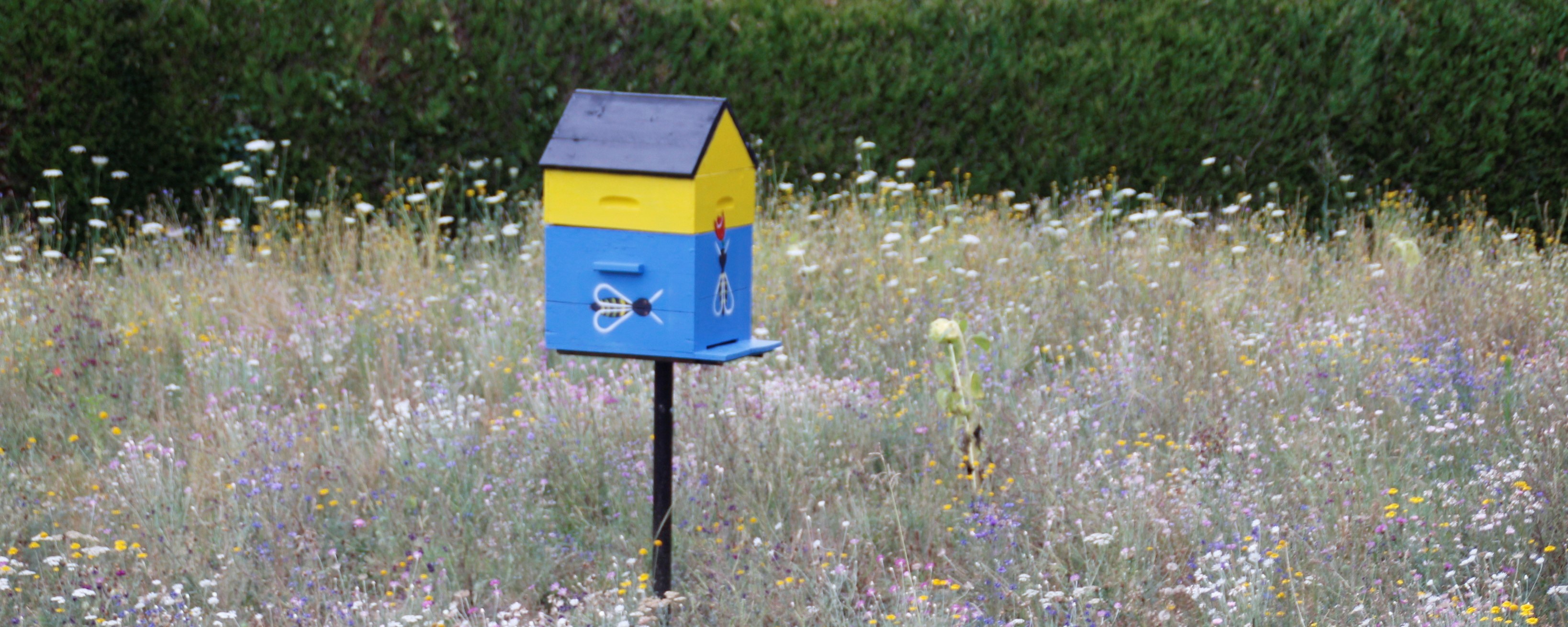 Biodiversite La Tourette 23072022 (13).JPG