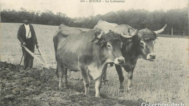 Le climat, les hommes et les animaux