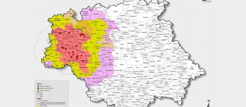Grippe aviaire la propagation s'étend à l'est